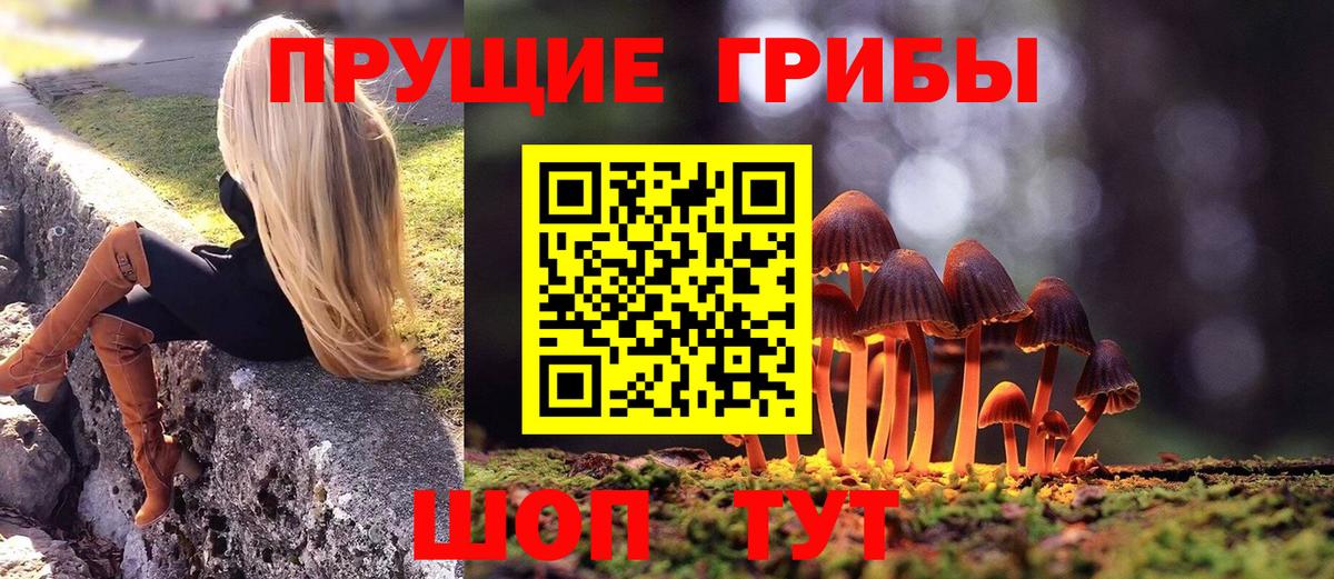 Галлюциногенные грибы прущие грибы Томск