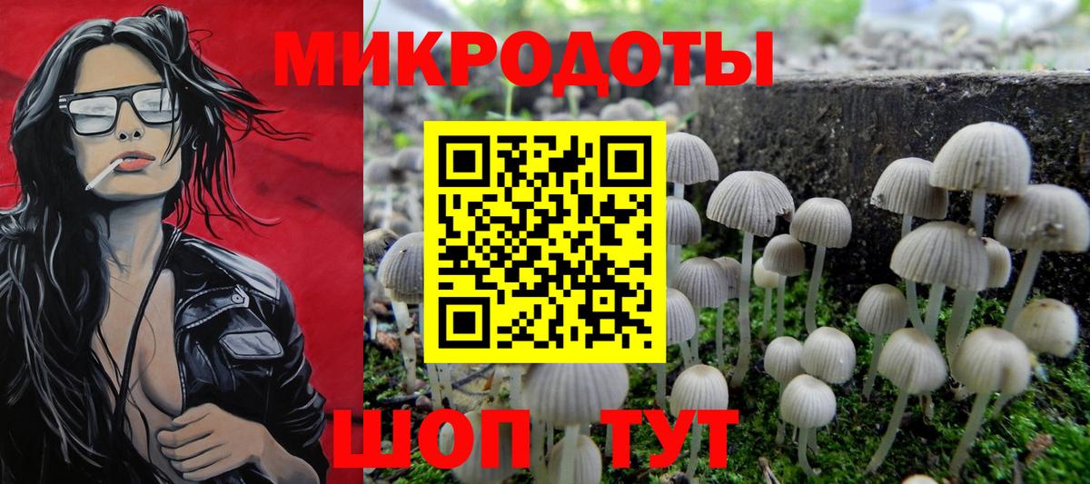 Томск  Галлюциногенные грибы ЛСД  Вход с VPN 